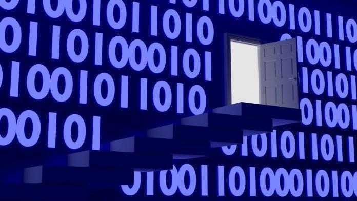 Backdoor in a binary wall concept backdoor