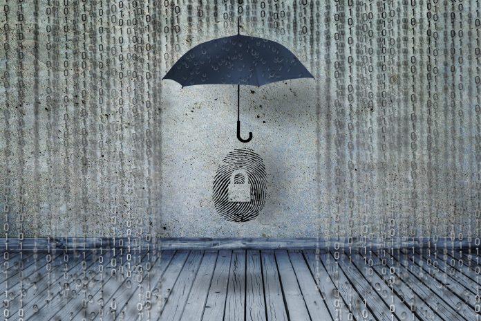 protecting idendity fingerprints or id fraud from binary codes as like rain, guarding identity symbol and personal information ID Theft / Scams Vulnerability