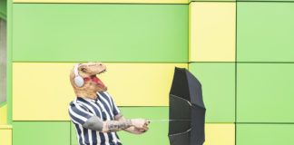 The Flaw in Three Word Password Systems three word password