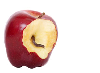 Zero-Click Apple Patch Addresses Vulnerability. Should You Be Worried? NSO Group