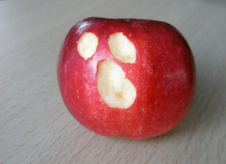 Apple’s 2023 Security Fails Mean It’s Time to Worry Apple 2023 security fails