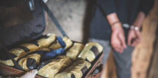 Blind Mule Scams: What You Need to Know Blind Mule Scam